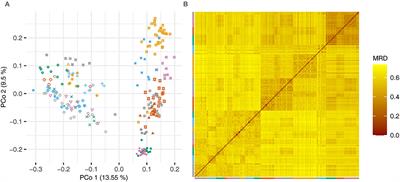 Genomic Prediction Can Provide Precise Estimates of the Genotypic Value of Barley Lines Evaluated in Unreplicated Trials